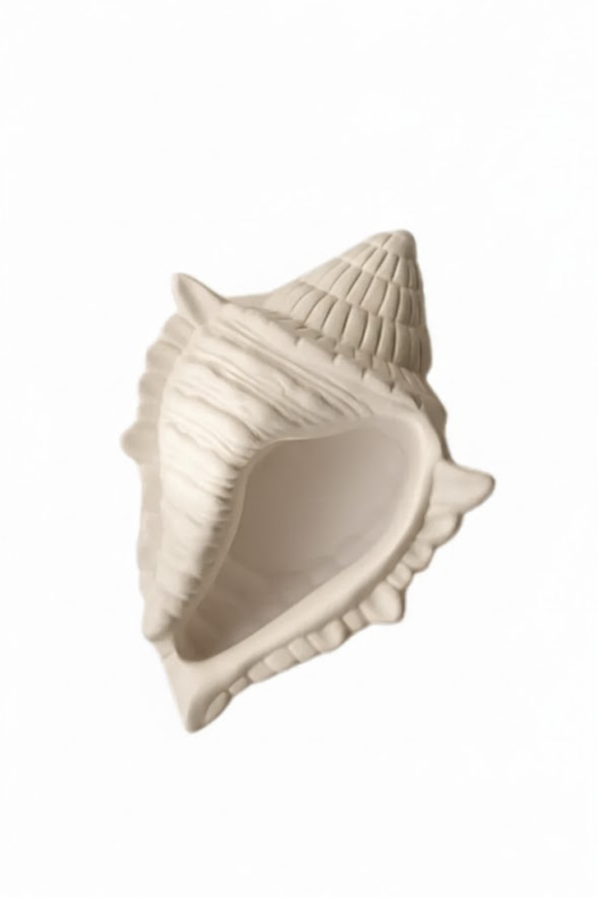 Aqualis Sea Shell Tray / Deniz Kabuğu Dekoratif Tabak