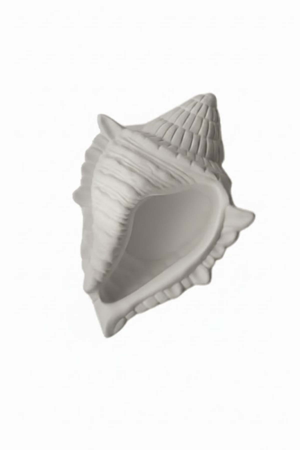 Aqualis Sea Shell Tray / Deniz Kabuğu Dekoratif Tabak