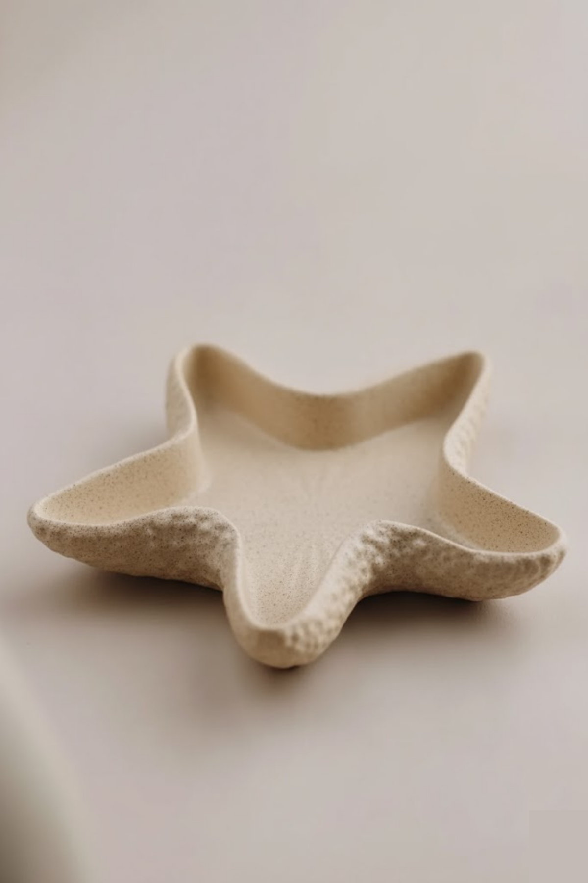 Astera Sea Star Tray / Deniz Yıldızı Dekoratif Tabak