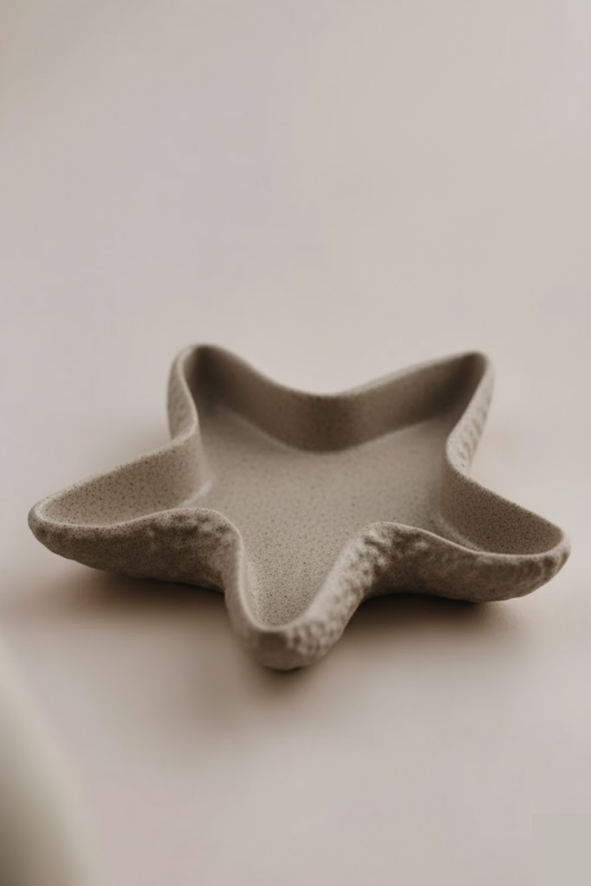 Astera Sea Star Tray / Deniz Yıldızı Dekoratif Tabak