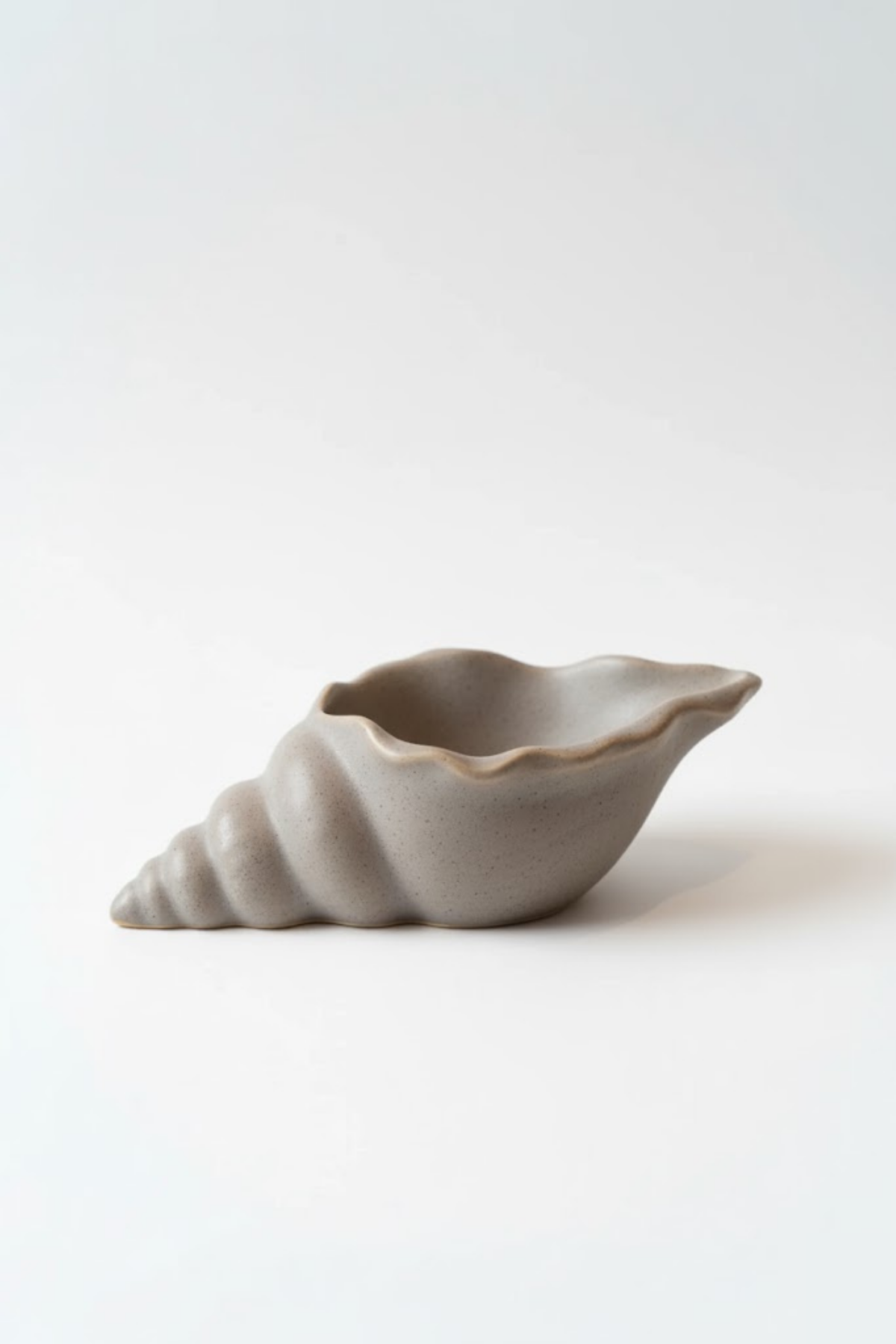 Coralia Sea Shell Tray / Deniz Kabuğu Dekoratif Tabak