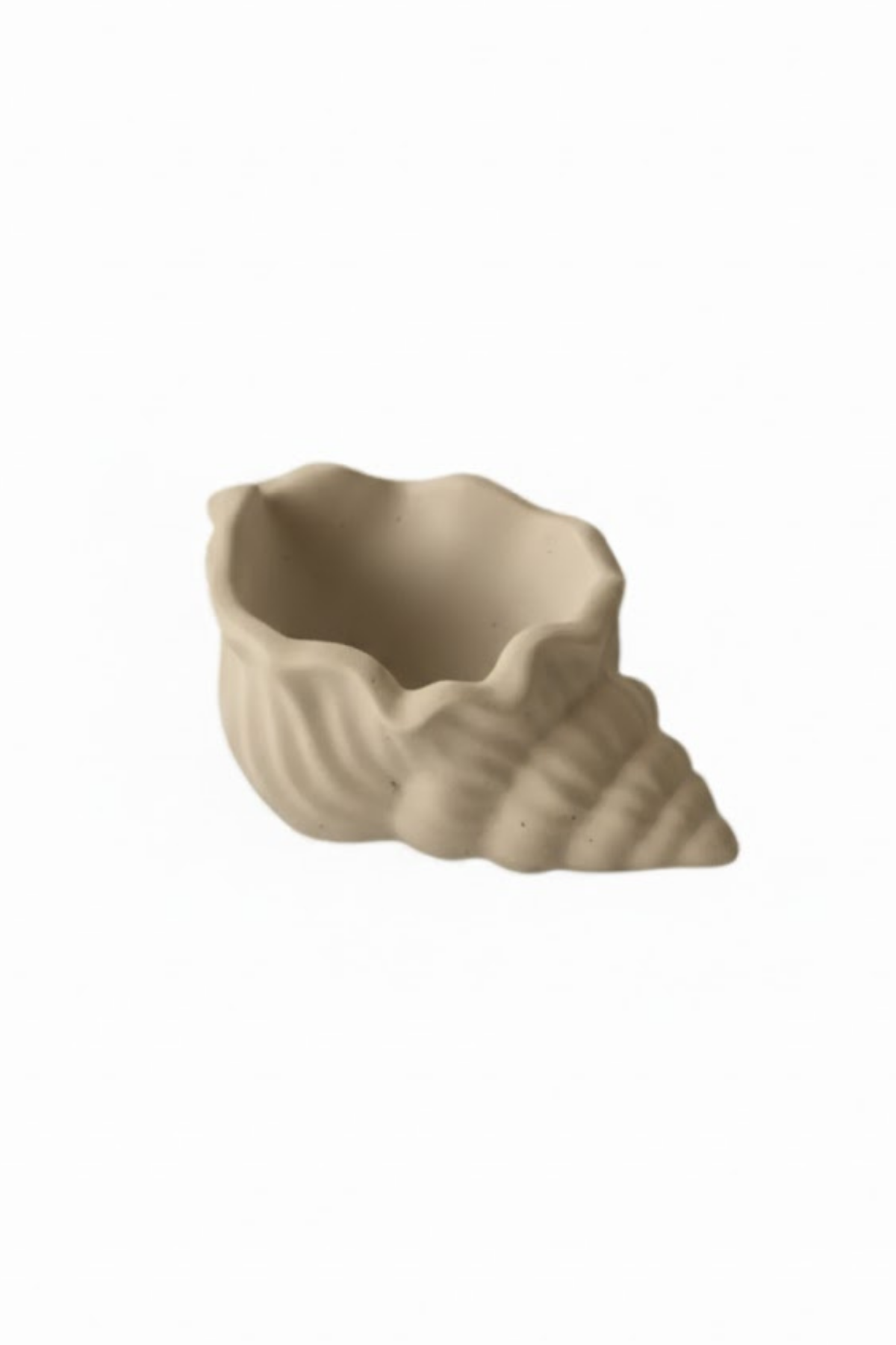 Sealia Sea Shell Tray / Deniz Kabuğu Dekoratif Tabak