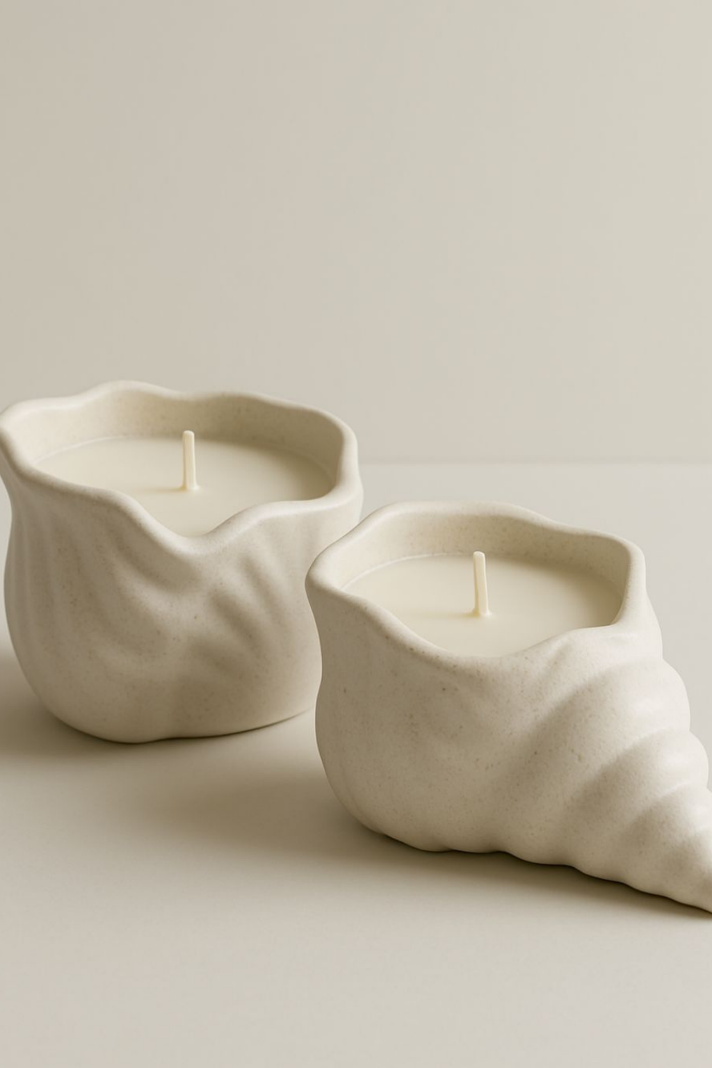 Sealia Sea Shell Tray / Deniz Kabuğu Dekoratif Tabak