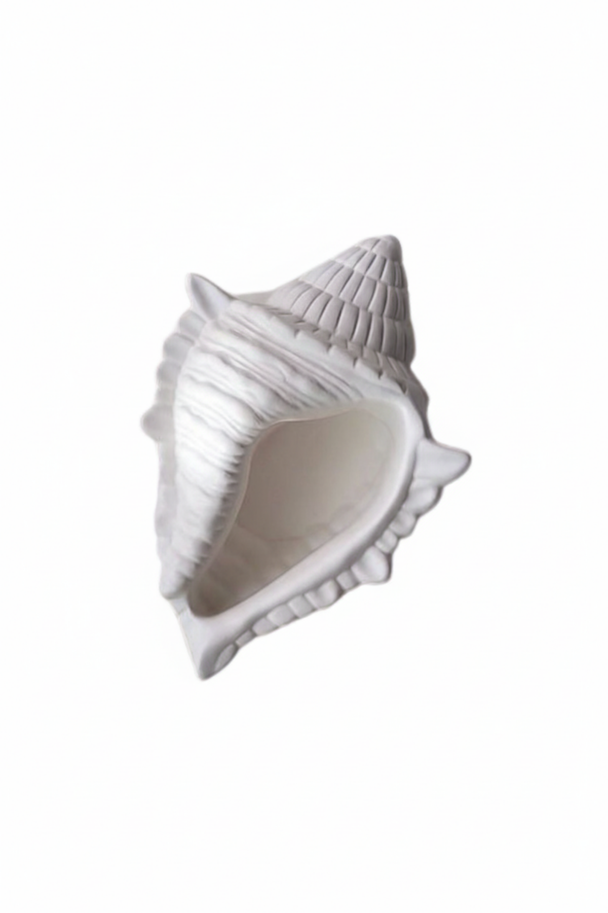 Aqualis Sea Shell Tray / Deniz Kabuğu Dekoratif Tabak