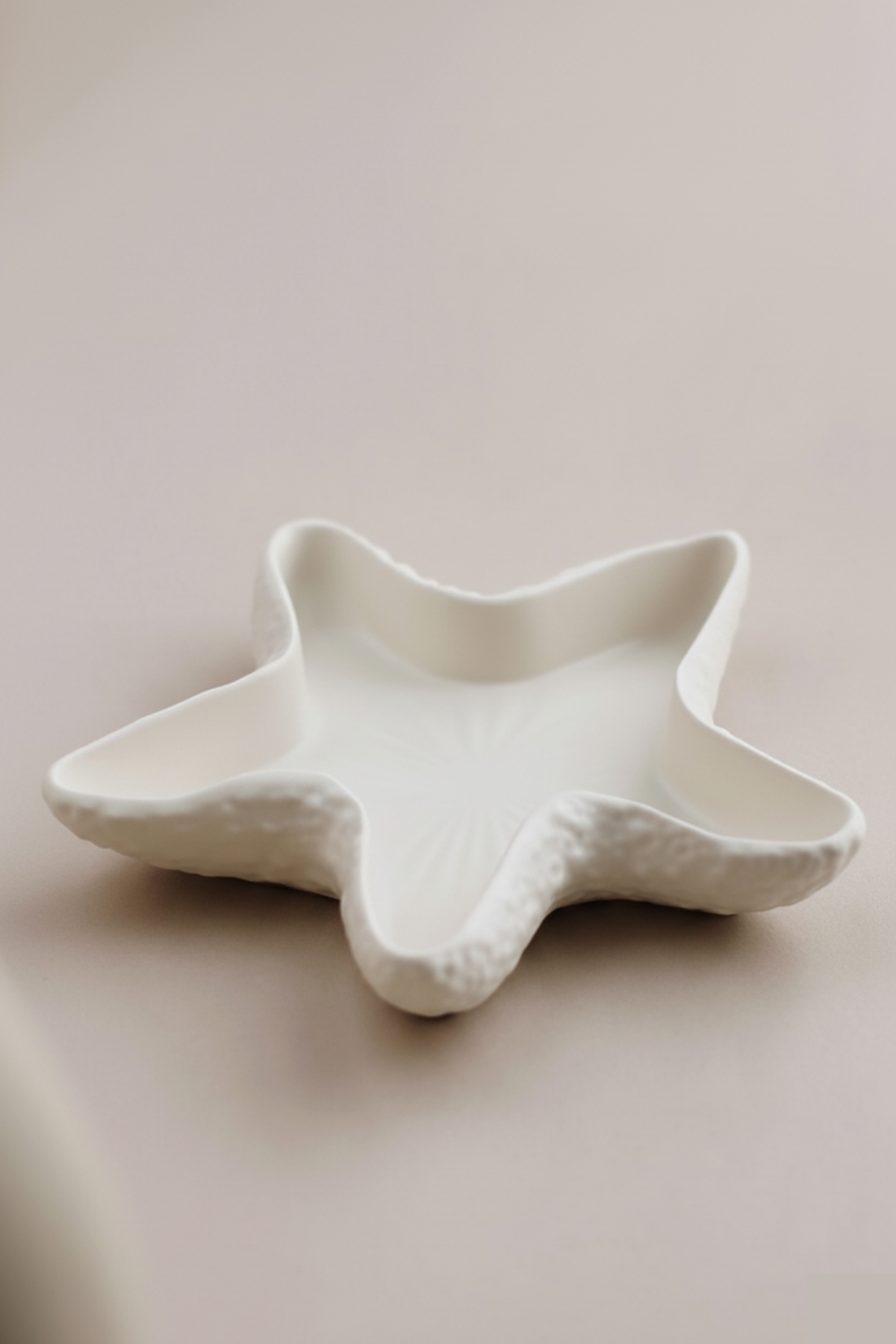 Astera Sea Star Tray / Deniz Yıldızı Dekoratif Tabak