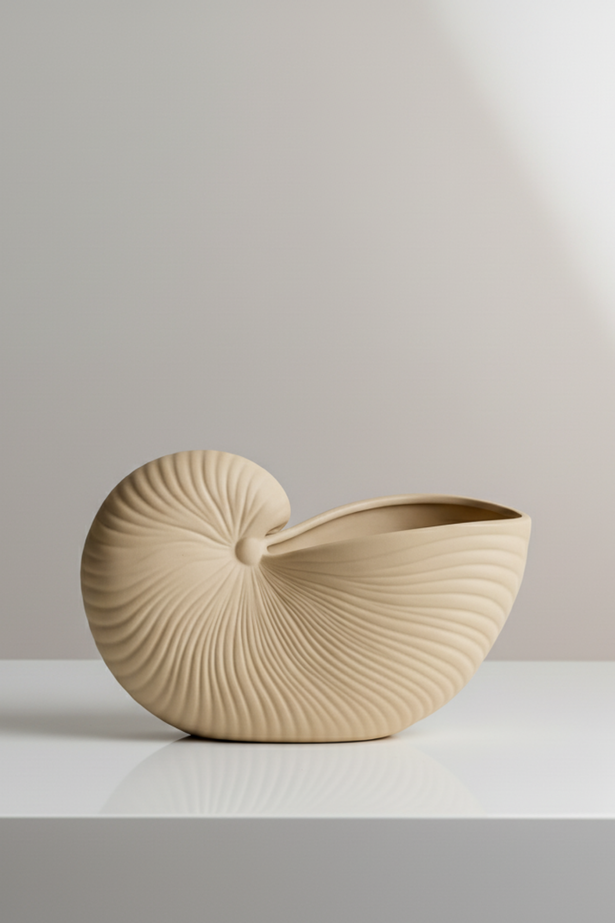 Conch shell / Deniz Kabuğu Dekoratif Tabak