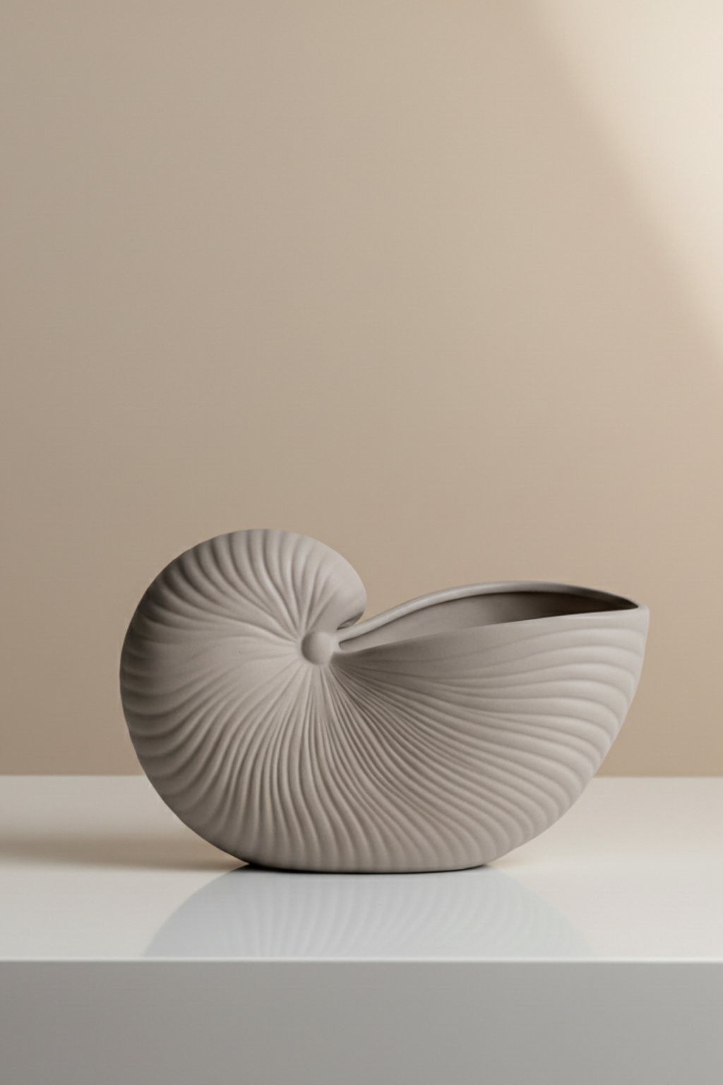 Conch shell / Deniz Kabuğu Dekoratif Tabak