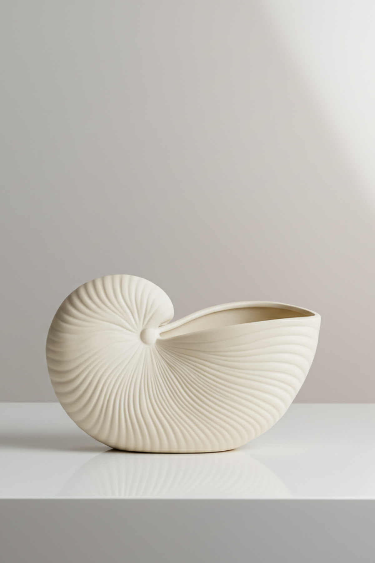 Conch shell / Deniz Kabuğu Dekoratif Tabak