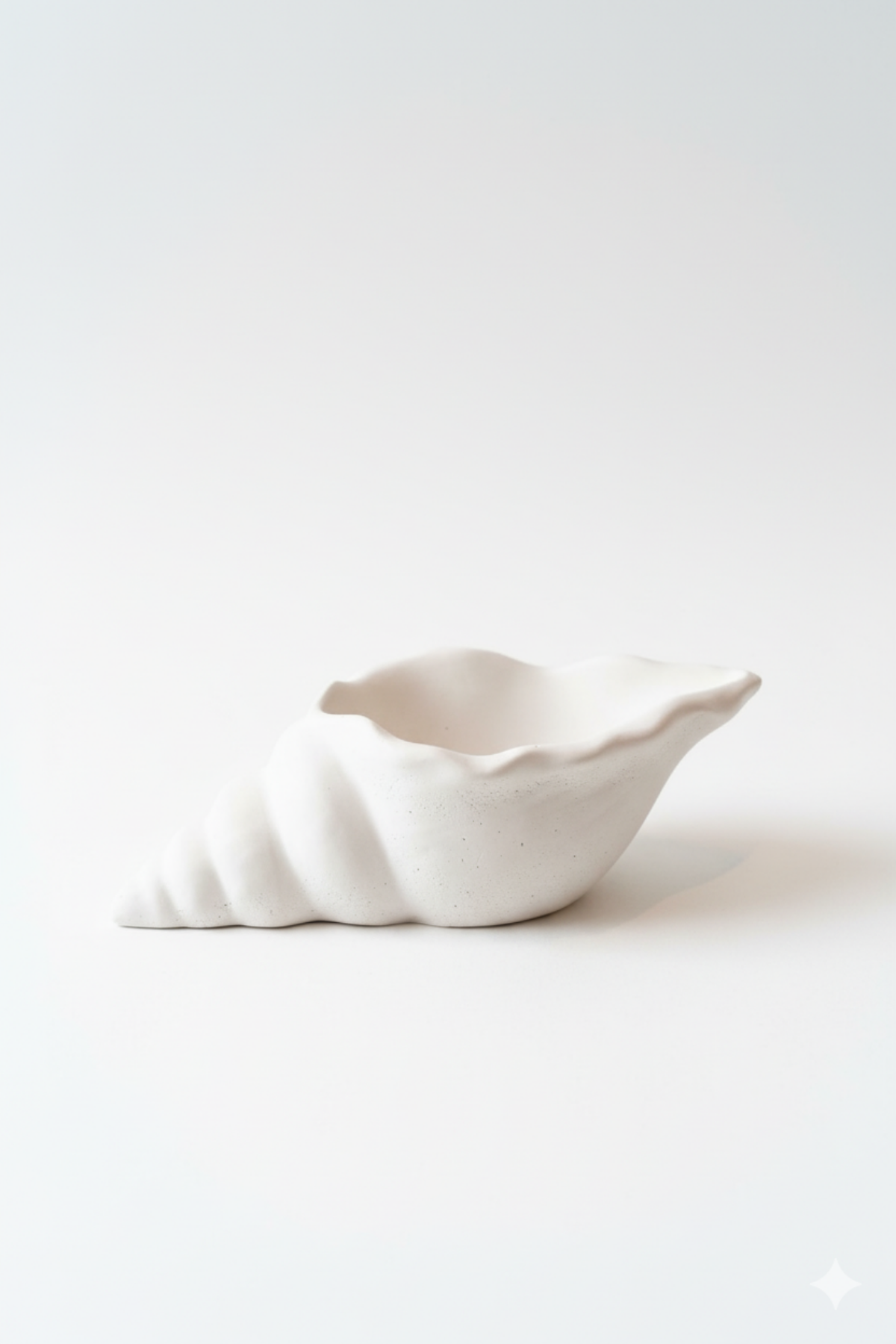 Coralia Sea Shell Tray / Deniz Kabuğu Dekoratif Tabak